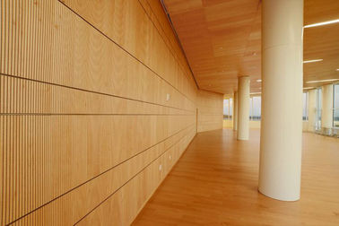 12mmの厚さの天井および壁のための装飾的な木の溝がある音響パネル